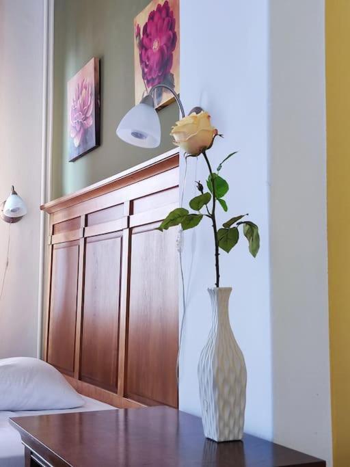 Bascarsija Apartment B-Home Old Town Sarajevo Ngoại thất bức ảnh